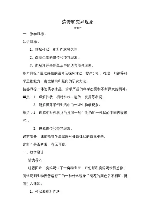 遗传和变异现象教案