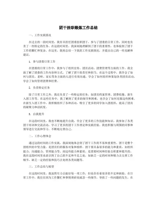 团干挂职锻炼工作总结