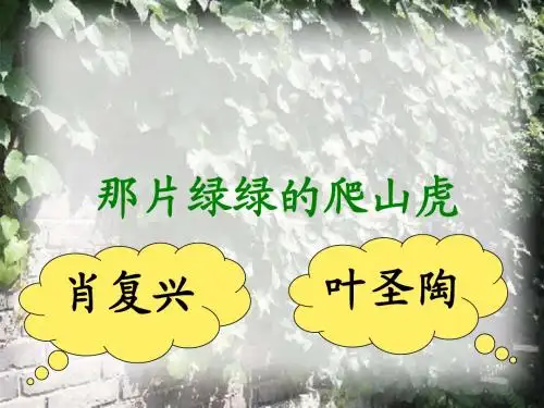 26那片绿绿的爬山虎