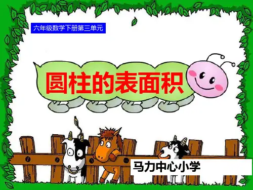 新人教版小学数学《面积》PPT课件1