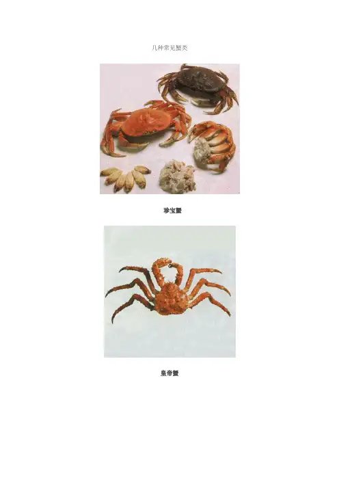 几种常见蟹类图片