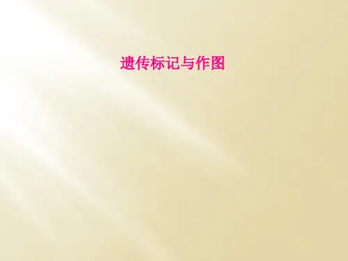 遗传标记与作图