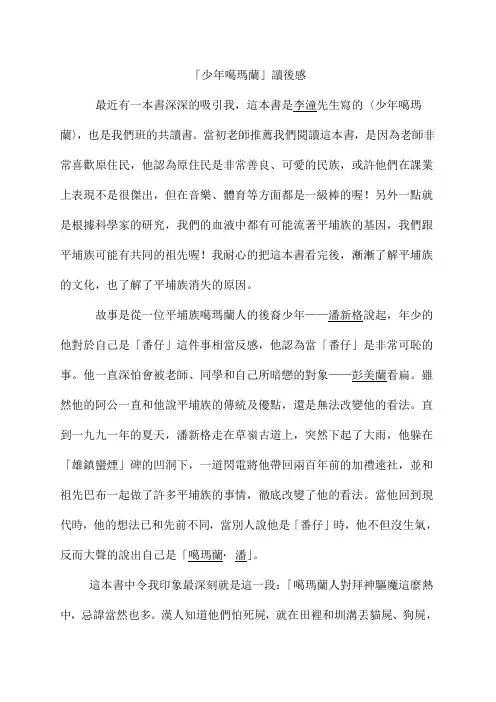 少年噶玛兰读后感