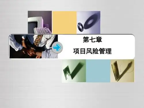【风险管理】第七章项目风险管理