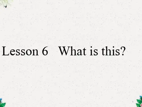 三年级上册英语课件-Lesson 6 What is this 课件 3|接力版