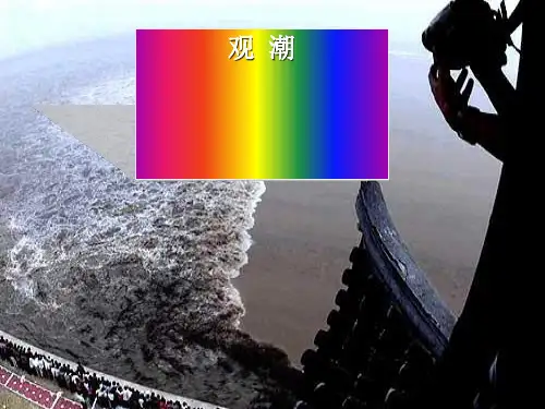人教版四年级上册第一课 观潮