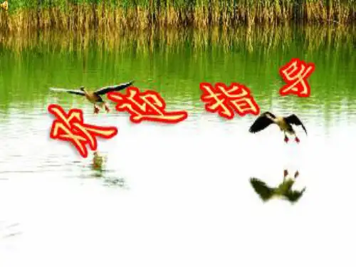 初中二年级语文《大雁归来》PPT课件