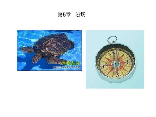 高二物理磁场课件