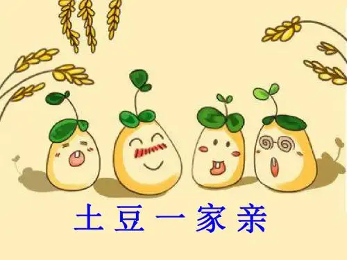 土豆一家亲