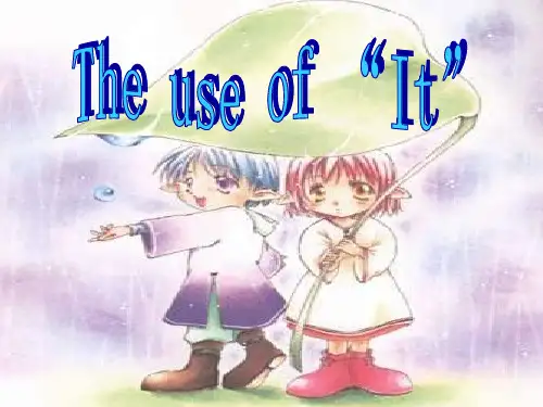 it用法 ppt课件