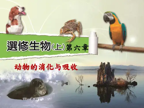 动物的消化与吸收_消化