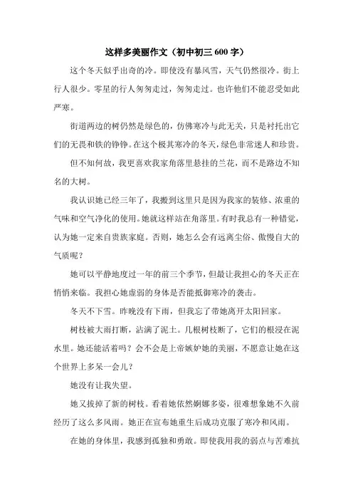 这样多美丽作文(初中初三600字).doc