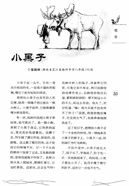 小黑子