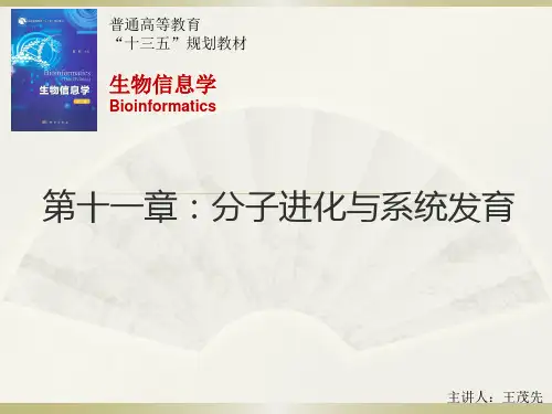 第11章 分子进化与系统发育