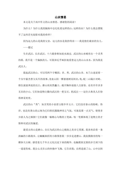 山水情思_高中作文_1