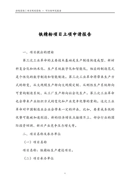 铁精粉项目立项申请报告