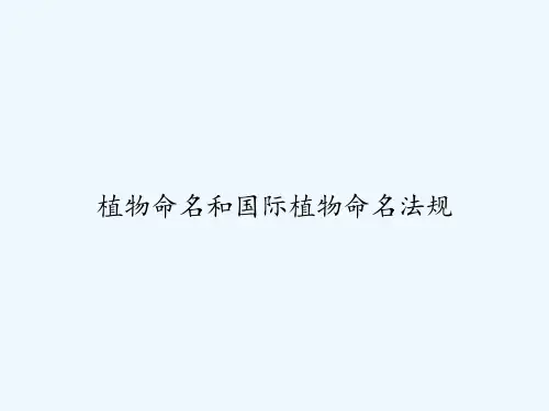 植物命名和国际植物命名法规 PPT