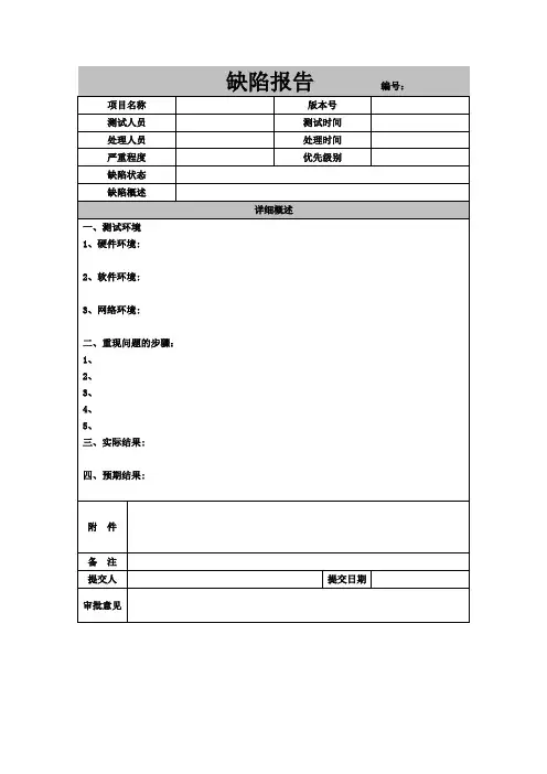 缺陷报告