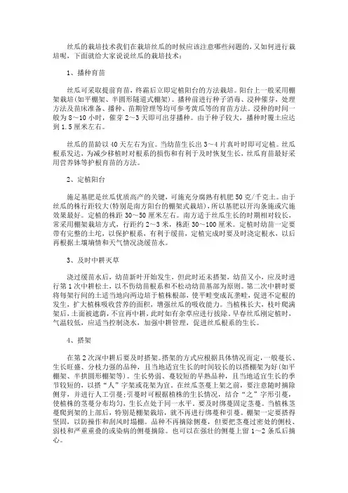 丝瓜的栽培技术