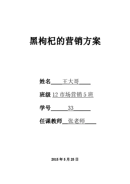 黑枸杞市场营销方案