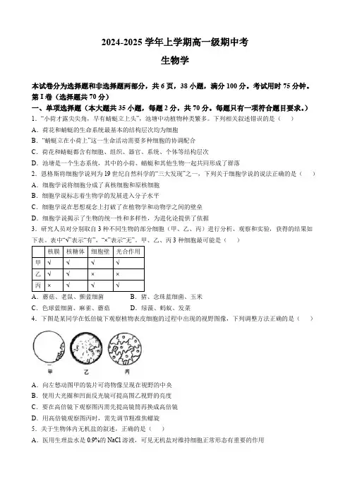 广东省广州市(2024年版)高一上学期期中考试生物试卷(含答案)