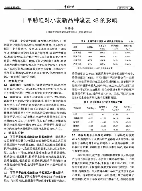 干旱胁迫对小麦新品种浚麦k8的影响