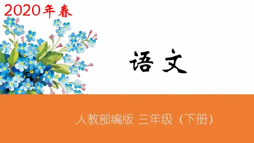 部编版荷花完美ppt课件