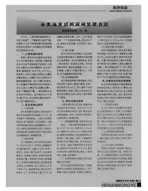 小麦冻害后的田间管理方法