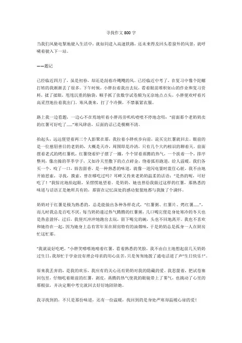 寻找作文800字