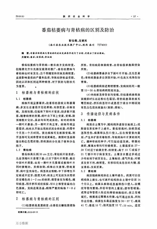 番茄枯萎病与青枯病的区别及防治