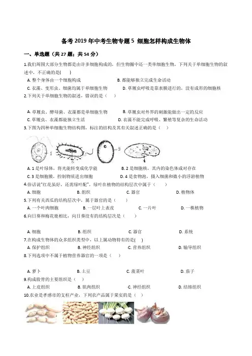备考2019年中考生物专题5 细胞怎样构成生物体