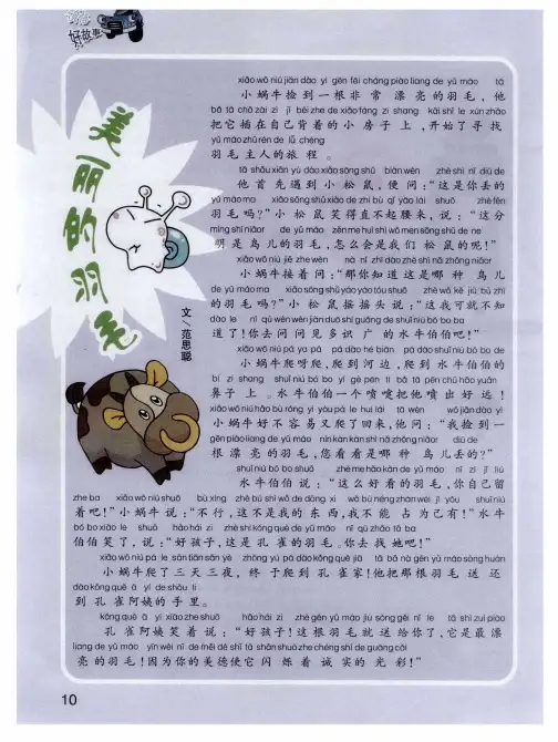 美丽的羽毛