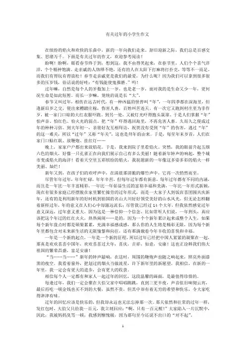 过年的小学生作文