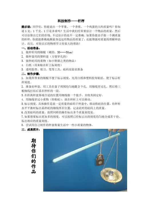 科技制作教案6：杆秤