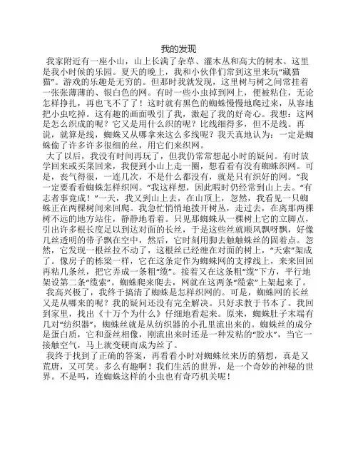 我的发现作文精选3篇