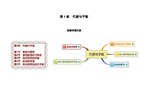 第4章代谢与平衡思维导图