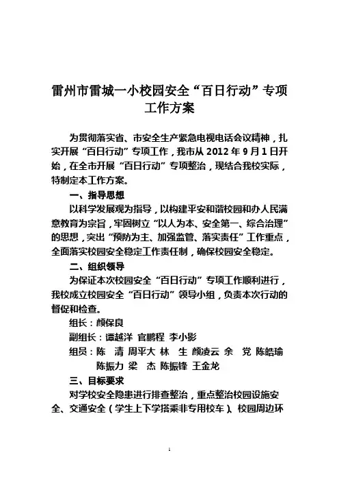 “百日行动”工作方案