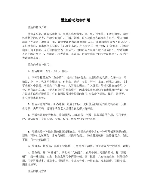 墨鱼的功效和作用