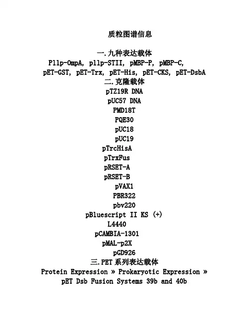 质粒图谱解释