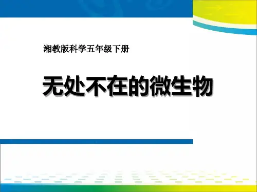 《无处不在的微生物》PPT【完美版课件】