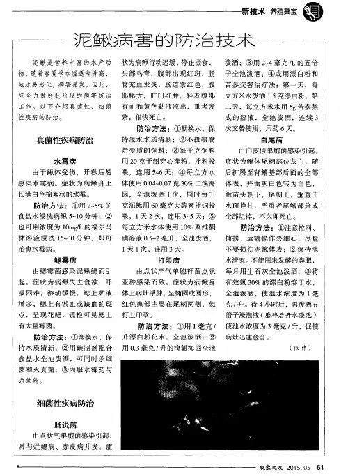 泥鳅病害的防治技术