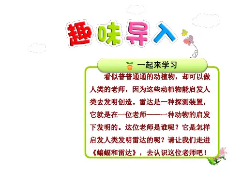 11蝙蝠和雷达 优质精美课件(人教版四年级语文下册)