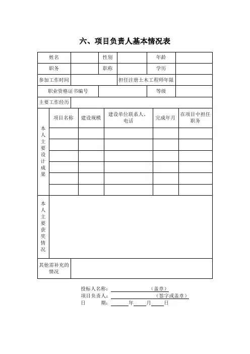 项目负责人基本情况表