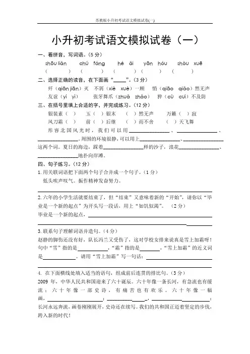 苏教版小升初考试语文模拟试卷(一)