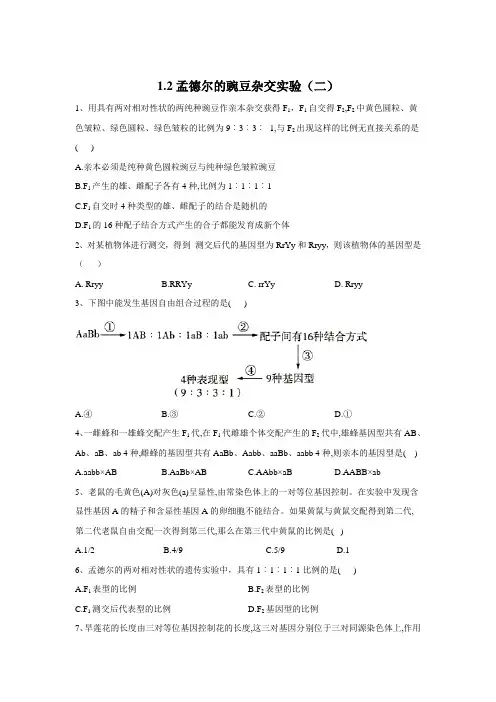 2019-2020学年高中生物人教版(2019)必修二同步学典：1.2孟德尔的豌豆杂交实验(二) Word版含答案