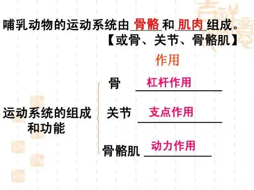 八年级生物上第二章第二节 先天性行为和学习行为