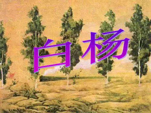 人教版五年级语文下册《白杨》课件