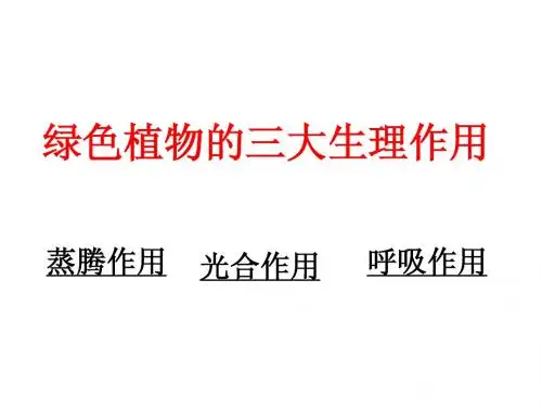 绿色植物的三大作用专题复习