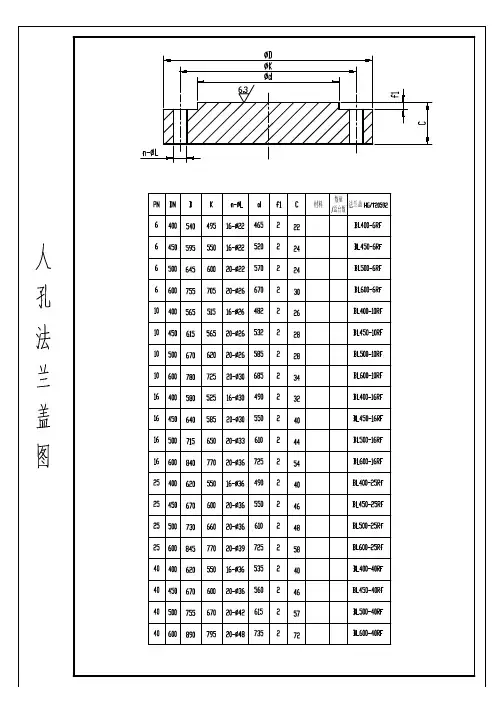 人孔法兰盖图