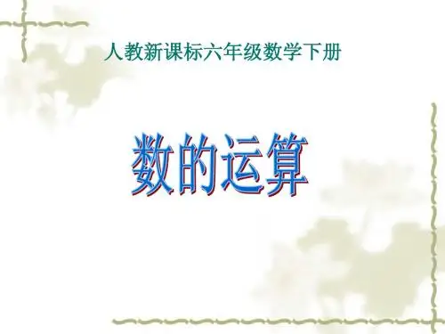 人教新课标数学六年级下册《数与代数——数的运算_1》